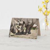 Carte Duo Rinamic (Fleur jaune)