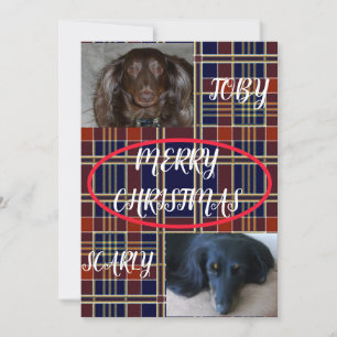 Carte Duo Tartan Joyeux Noël pour Animaux Domestiq