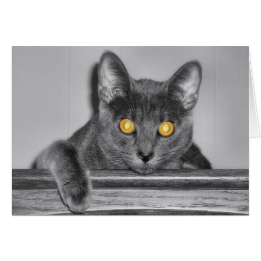 Carte Dusky Gold (Devant horizontal)