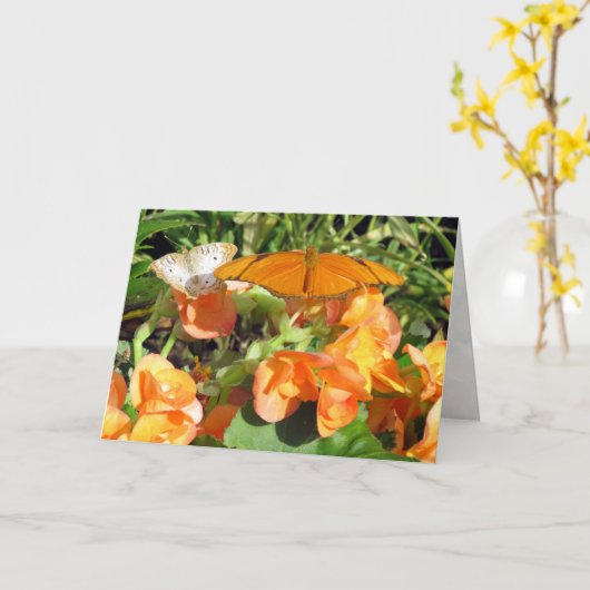 Carte Dyas Julia et White Peacock Butterflies Salutation (Fleur jaune)