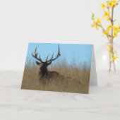 Carte E26 Taureau couché dans les mauvaises herbes (Fleur jaune)