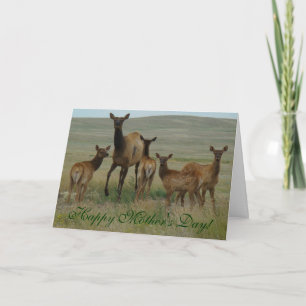 Carte E44 Cow Elk and Calves