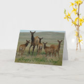 Carte E44 Elcs et veaux de vache (Fleur jaune)