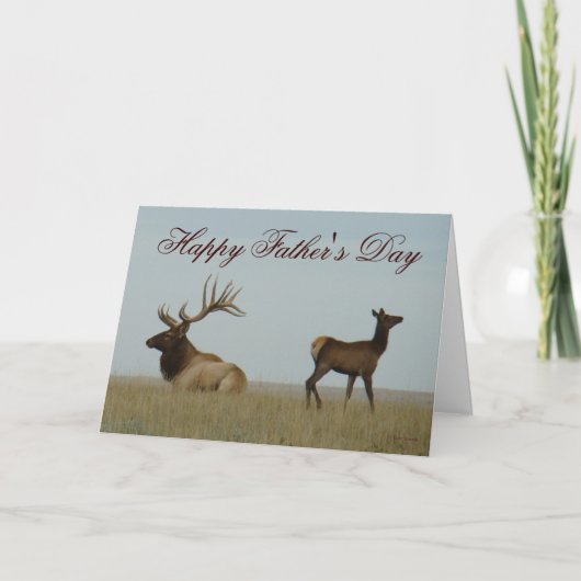 Carte E5 Bull Elk et Yearling (Devant)