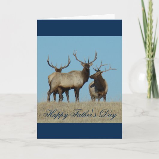 Carte E60 Bull Elk Sky Lined (Devant)