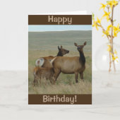 Carte E61 Elc et veau de vache (Fleur jaune)