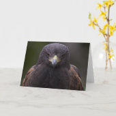 Carte Eagle d'or (Fleur jaune)