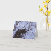 Carte Eagle Lookout Peinture De Vous Penser (Fleur jaune)