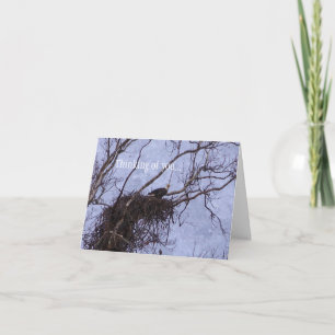 Carte Eagle Lookout Peinture De Vous Penser