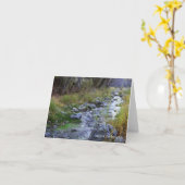 Carte East Fork/Hayfork creek...... (Fleur jaune)