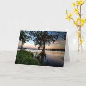 Carte Eau | Kraft Azalea Park Maitland Floride (Fleur jaune)