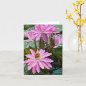 Carte Eau Lily Beauté (Fleur jaune)