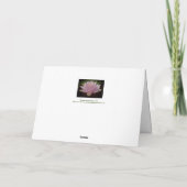 CARTE EAU PÂLE ROSE LILY/BLANK INTÉRIEURE (Dos)