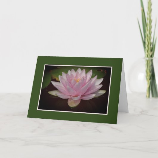CARTE EAU PÂLE ROSE LILY/BLANK INTÉRIEURE (Devant)