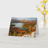 Carte Eau | Parc provincial Killarney Canada (Fleur jaune)