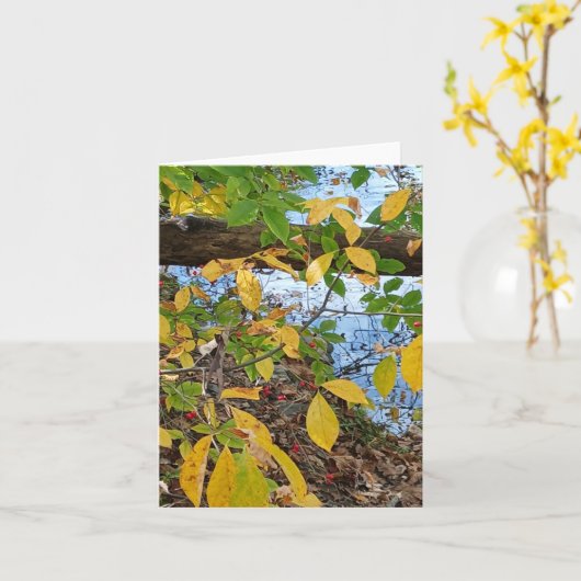 Carte Ecclesiastes 3:1  (Fleur jaune)