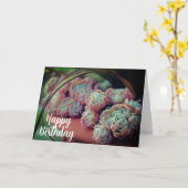 Carte Echeveria Rose Succulent Poted Plante Anniversaire (Fleur jaune)