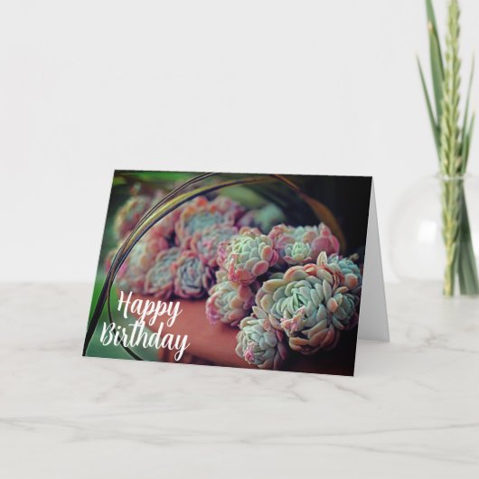 Carte Echeveria Rose Succulent Poted Plante Anniversaire (Devant)