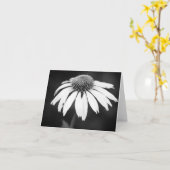 Carte Echinacée dans B&W (blanc) (Fleur jaune)