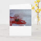 Carte Échinacée dans la glace, (Fleur jaune)