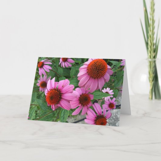 Carte Echinacée Violette Ecclesiastes Bible Verse Annive (Devant)