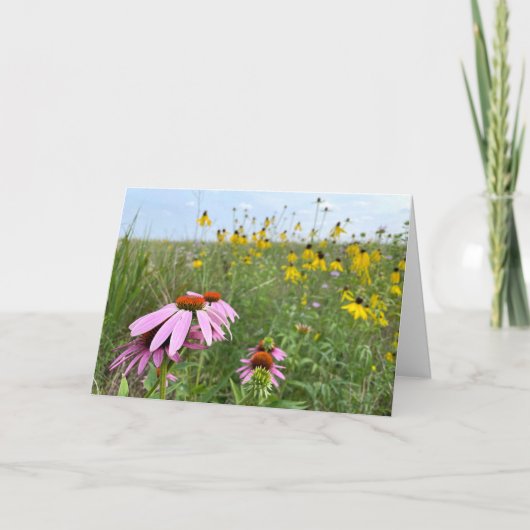 Carte Échinacées à Prairie Bluff Preserve (Devant)
