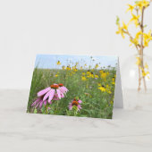 Carte Échinacées à Prairie Bluff Preserve (Fleur jaune)