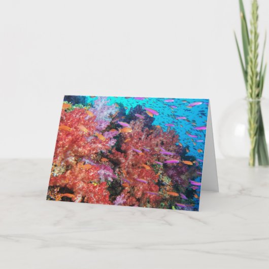 Carte Éclaboussure de couleur des Fidji (Devant)