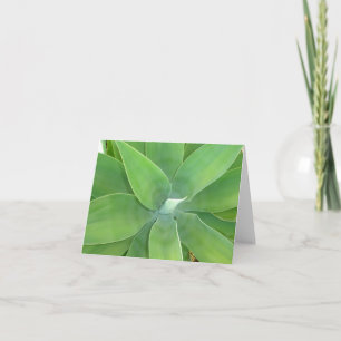 Carte Éclat de vert