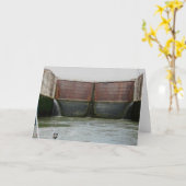 Carte Écluses de Miraflores, canal de Panama (Fleur jaune)