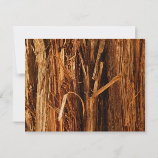Carte Écorce de bois texturée de cèdre (Devant)