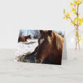 Carte Écossais dort (Fleur jaune)