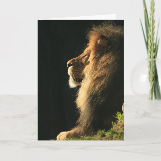 Carte Écoutez le soleil venir (Devant)