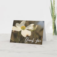 Écriture décontractée Merci Dogwood Blossom