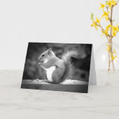 Carte Écureuil (Fleur jaune)