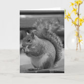 Carte Écureuil (Fleur jaune)