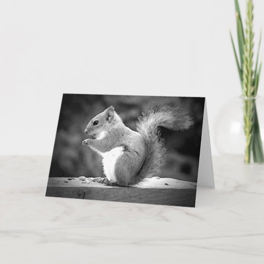 Carte Écureuil (Devant)