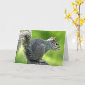Carte Écureuil (Fleur jaune)