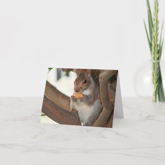 Carte écureuil (Devant)