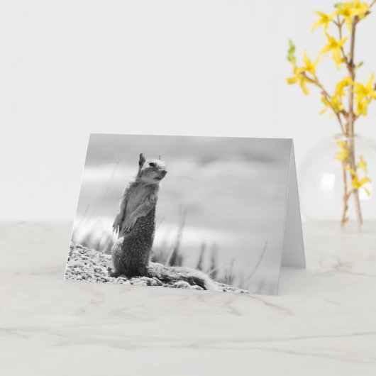 Carte Écureuil (Fleur jaune)