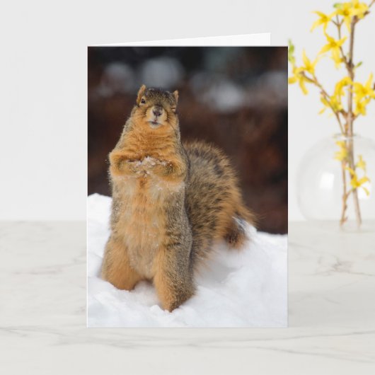 Carte Écureuil (Fleur jaune)