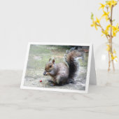 Carte Écureuil à la noix (Fleur jaune)