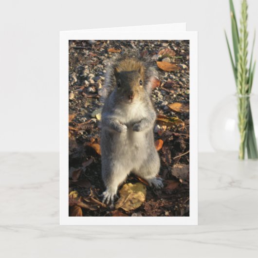 Carte Écureuil dans les feuilles (Devant)