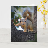 Carte Écureuil de bébé dans l'arbre (Fleur jaune)