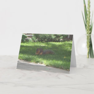 Carte Écureuil de jazz d'anniversaire