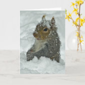 Carte Écureuil de neige (Fleur jaune)