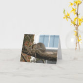 Carte Écureuil de sommeil (Fleur jaune)