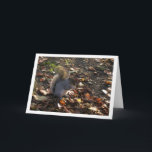 Carte Écureuil en Feuille<br><div class="desc">Écureuil dans la carte de voeux Feuille. Vous pouvez facilement customiser ce produit gratuitement si vous souhaitez ajouter du libellé ou changer la couleur du arrière - plan.</div>