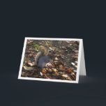 Carte Écureuil en Feuille<br><div class="desc">Écureuil dans la carte de voeux Feuille. Vous pouvez facilement customiser ce produit gratuitement si vous souhaitez ajouter du libellé ou changer la couleur du arrière - plan.</div>