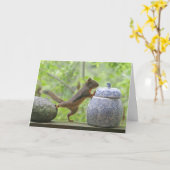 Carte Écureuil et boîte à biscuits (Fleur jaune)